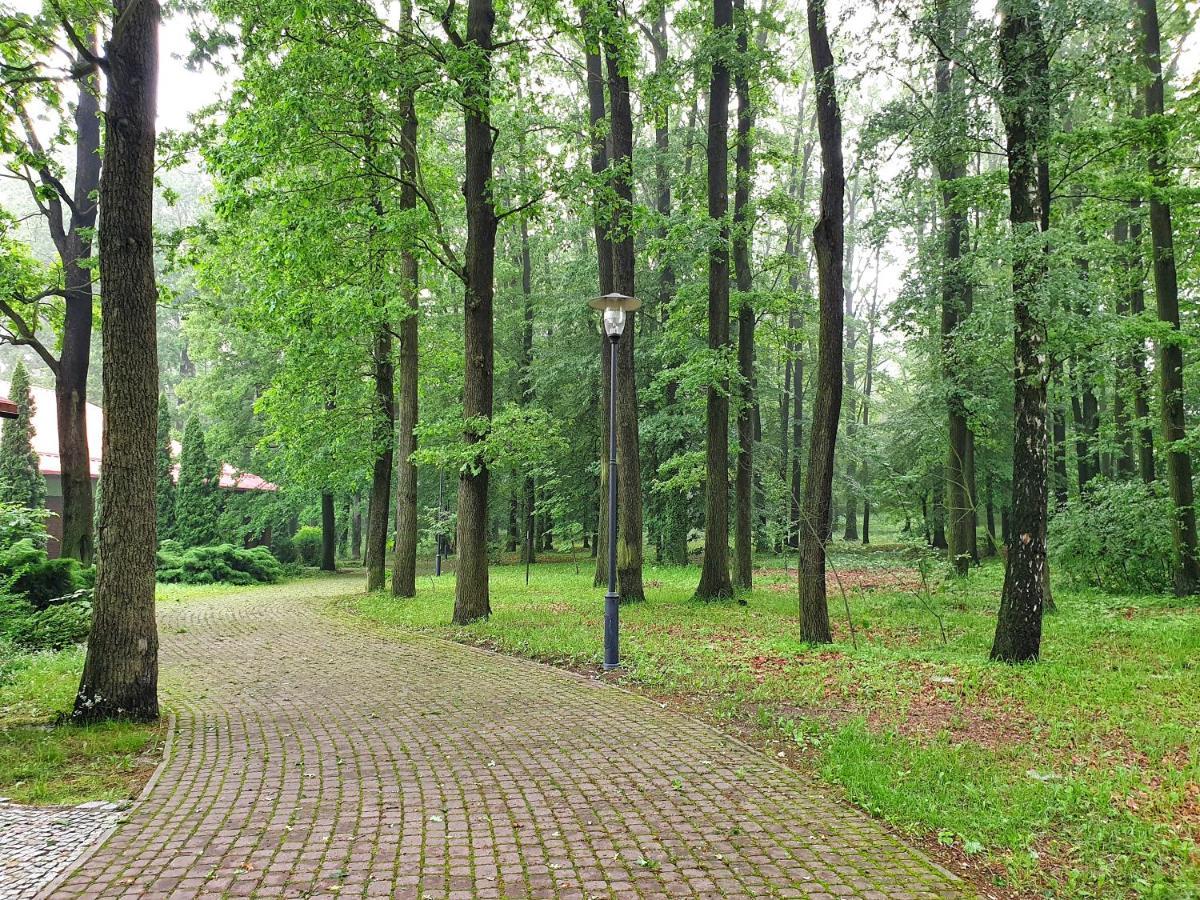 Stacja Nowa Gdynia Bed & Breakfast Aquapark 지기에르즈 외부 사진