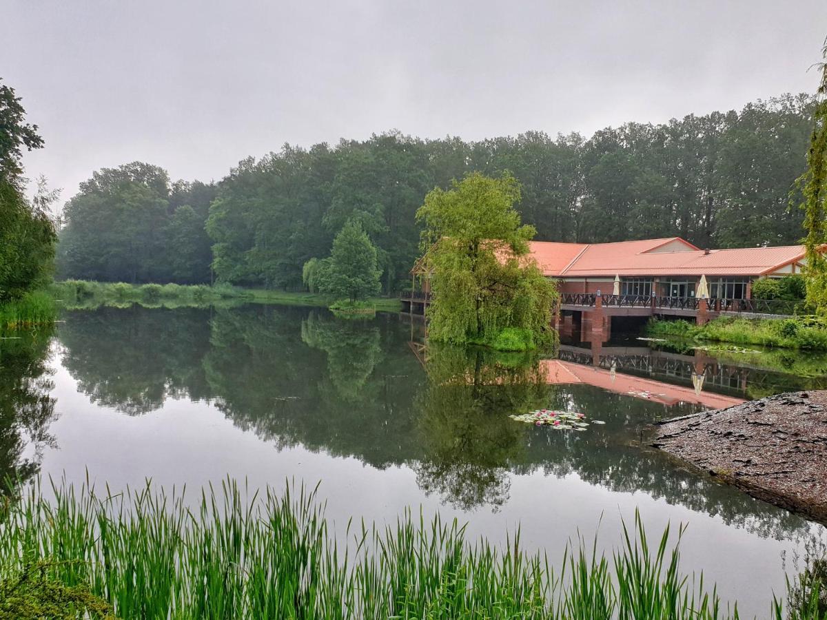 Stacja Nowa Gdynia Bed & Breakfast Aquapark 지기에르즈 외부 사진