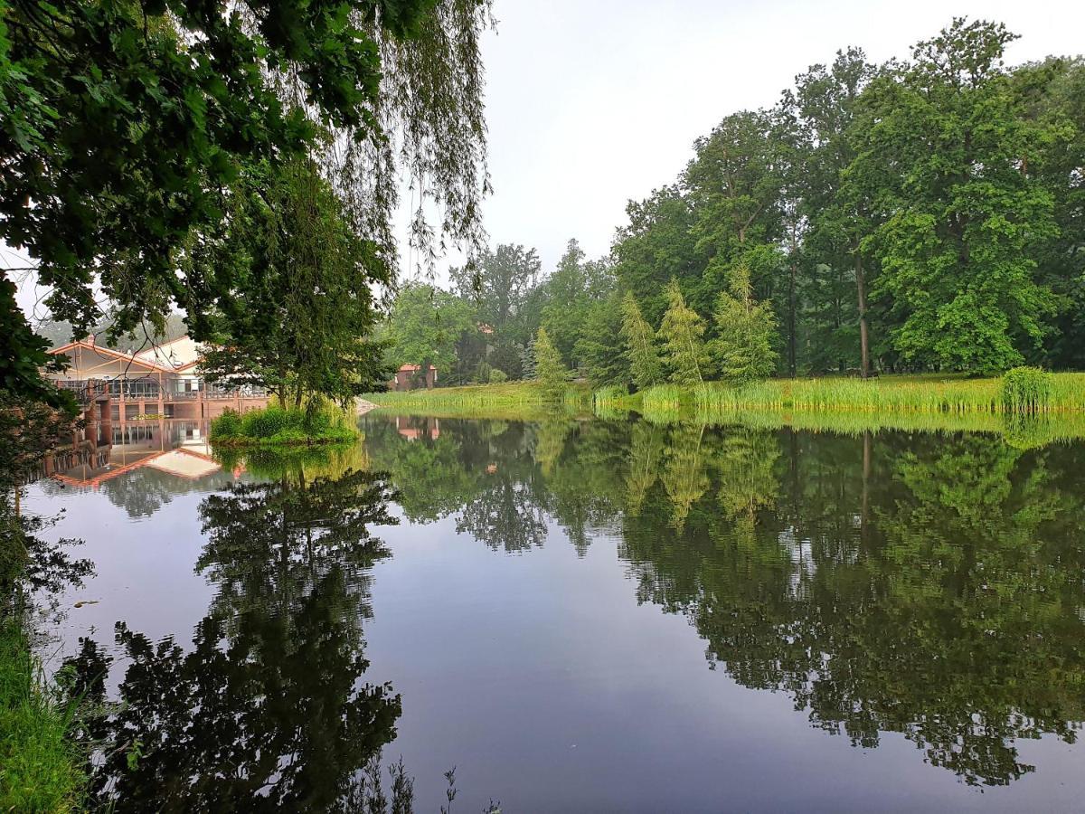 Stacja Nowa Gdynia Bed & Breakfast Aquapark 지기에르즈 외부 사진