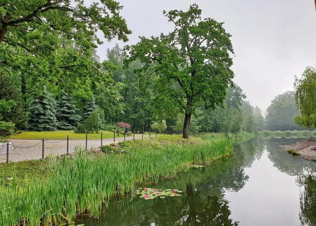 Stacja Nowa Gdynia Bed & Breakfast Aquapark 지기에르즈 외부 사진