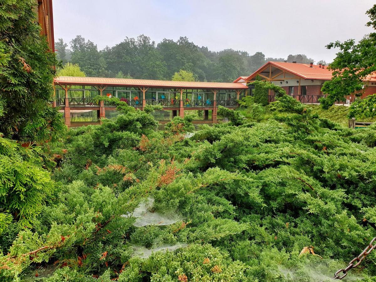 Stacja Nowa Gdynia Bed & Breakfast Aquapark 지기에르즈 외부 사진