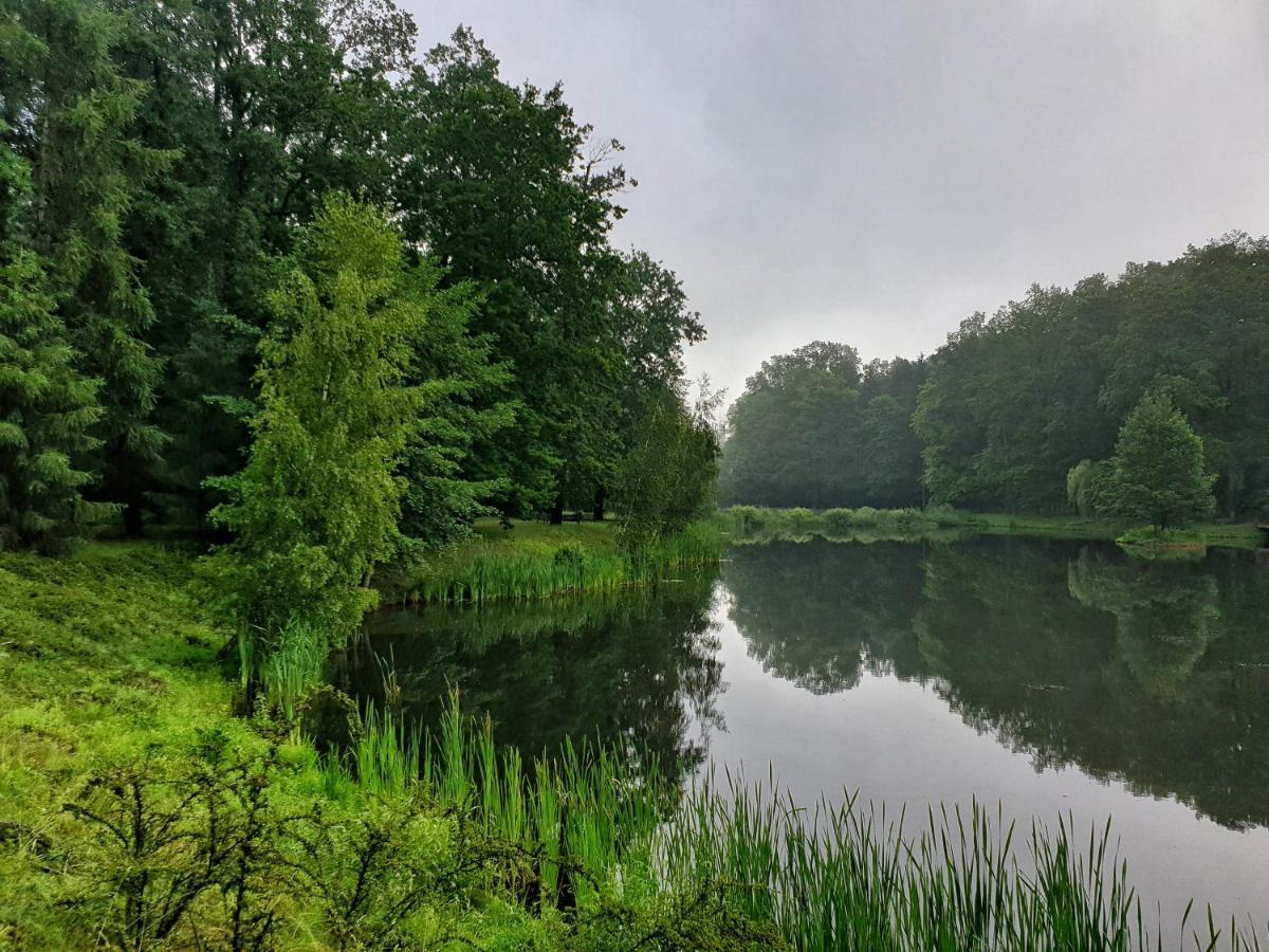 Stacja Nowa Gdynia Bed & Breakfast Aquapark 지기에르즈 외부 사진