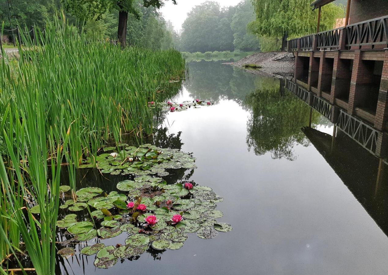 Stacja Nowa Gdynia Bed & Breakfast Aquapark 지기에르즈 외부 사진