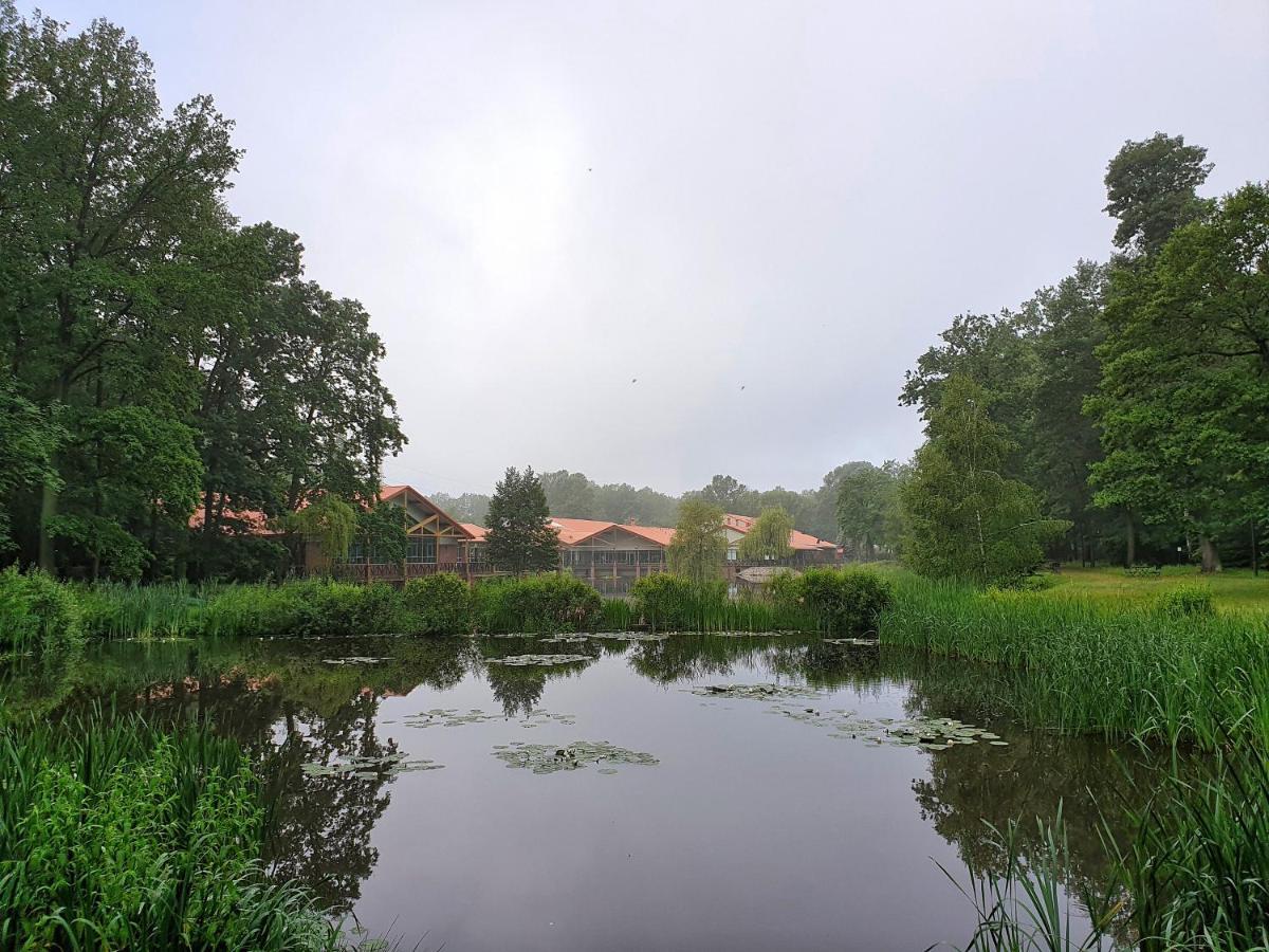 Stacja Nowa Gdynia Bed & Breakfast Aquapark 지기에르즈 외부 사진