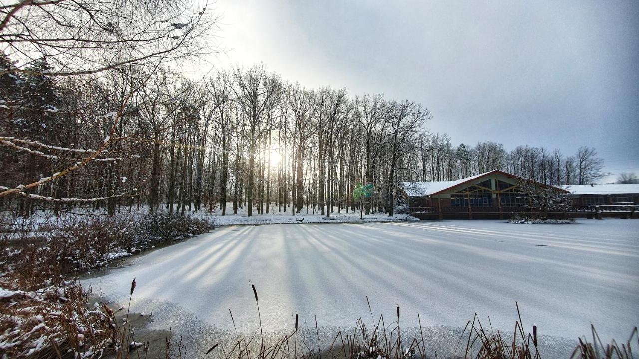 Stacja Nowa Gdynia Bed & Breakfast Aquapark 지기에르즈 외부 사진