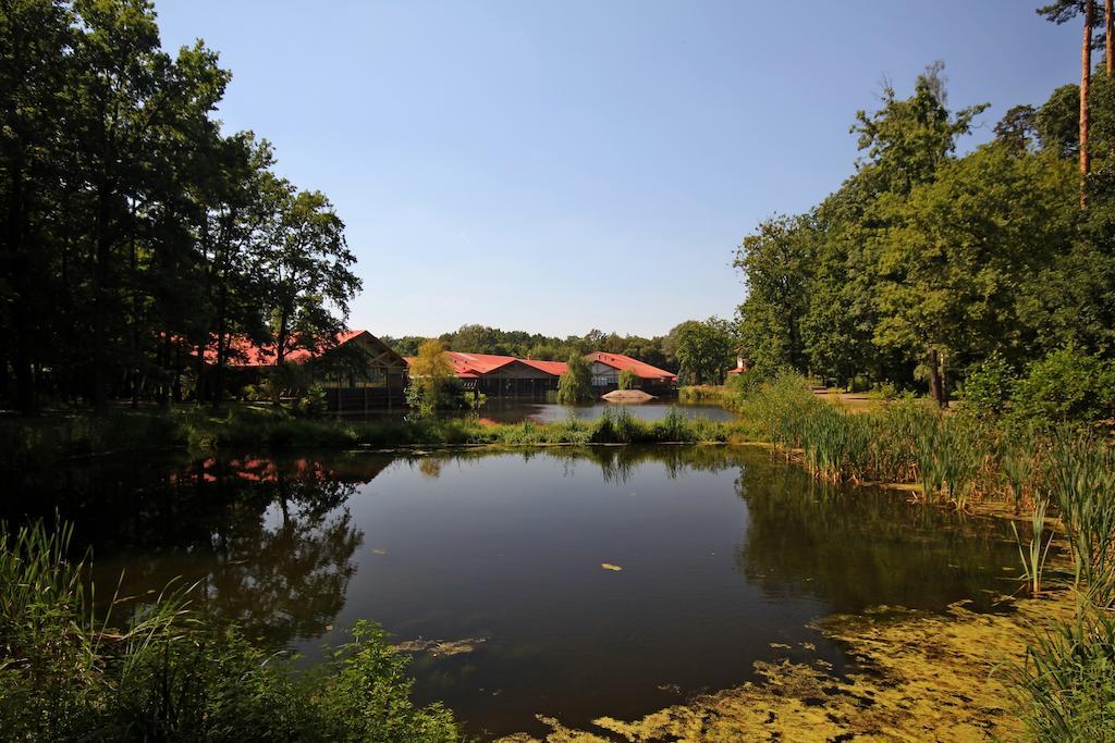 Stacja Nowa Gdynia Bed & Breakfast Aquapark 지기에르즈 외부 사진